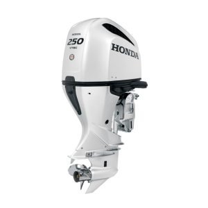 Honda 250hp White Outboard | BF250DXRA
